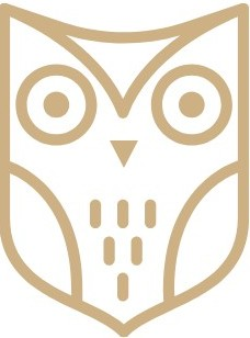 AI Wise Woman Logo